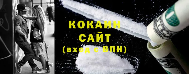 где купить наркоту  Вельск  блэк спрут ТОР  КОКАИН FishScale 