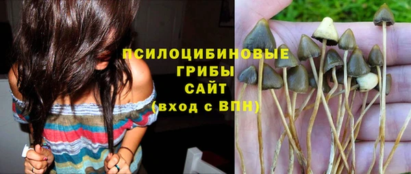 стаф Белокуриха